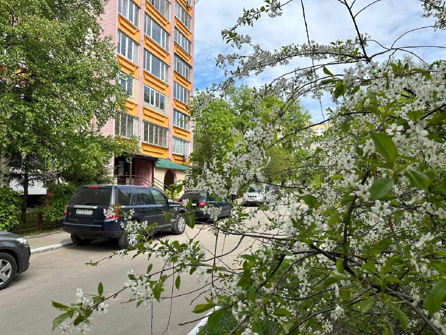 Реутов, яблони в цвету, сирень, вишня, черёмуха, деревья в цвету, арборист, Троицкий храм,