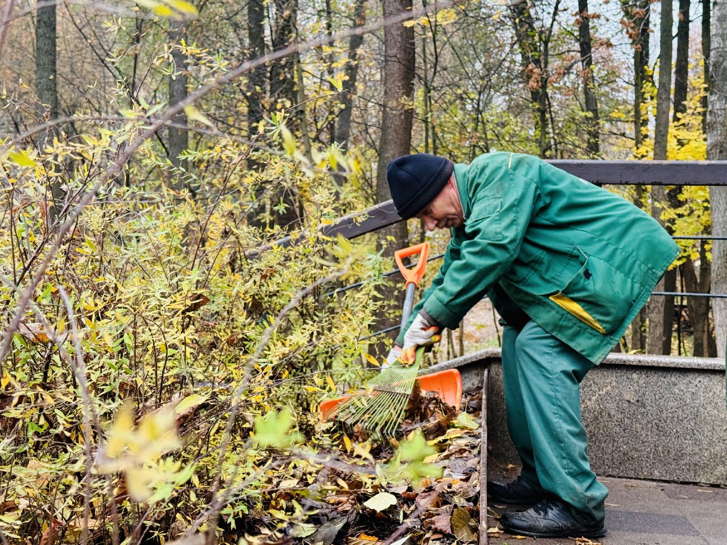 раменское, раменский городской парк, вандализм, благоустройство, ремонт, клумбы,