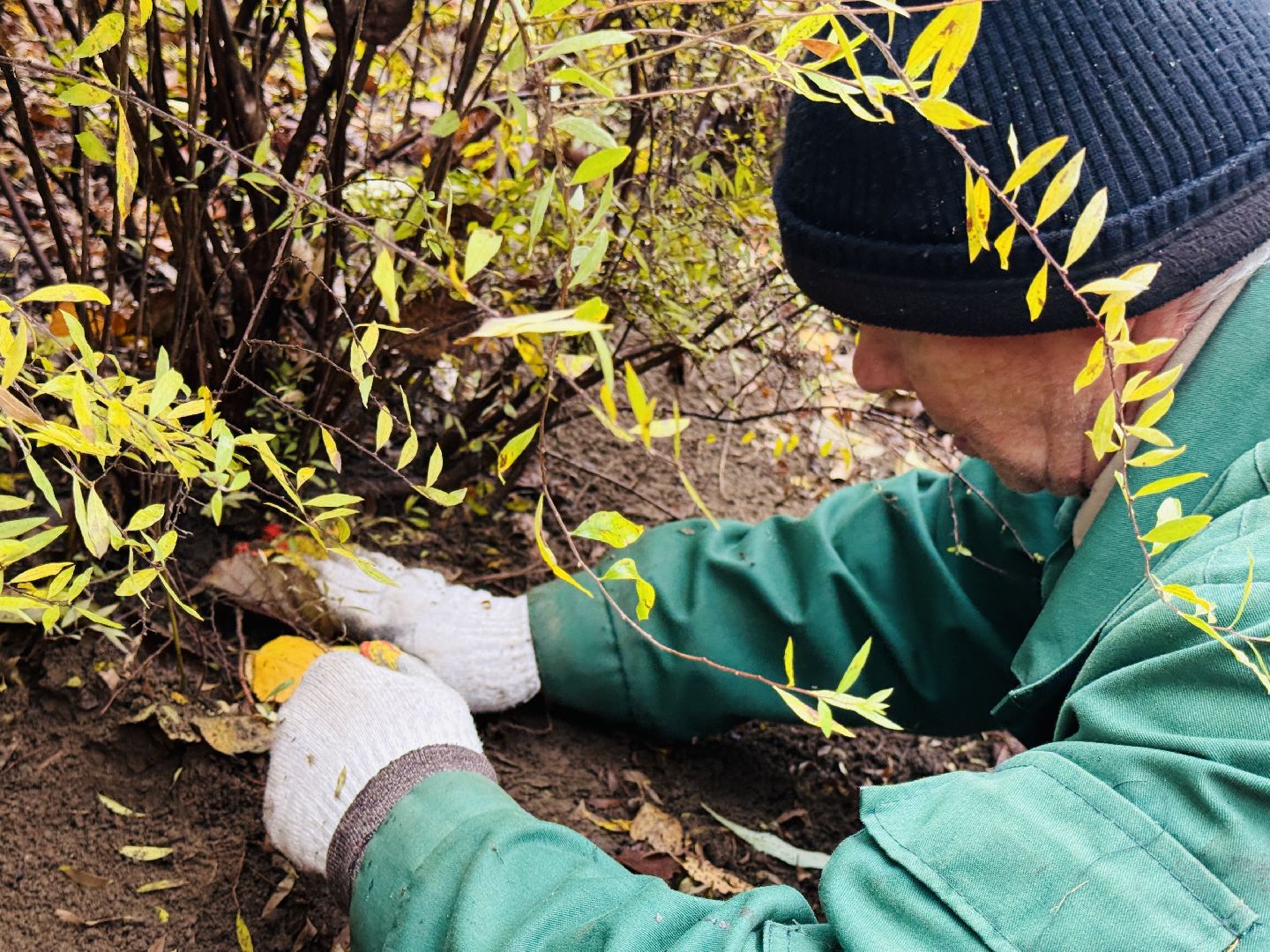 раменское, раменский городской парк, вандализм, благоустройство, ремонт, клумбы,