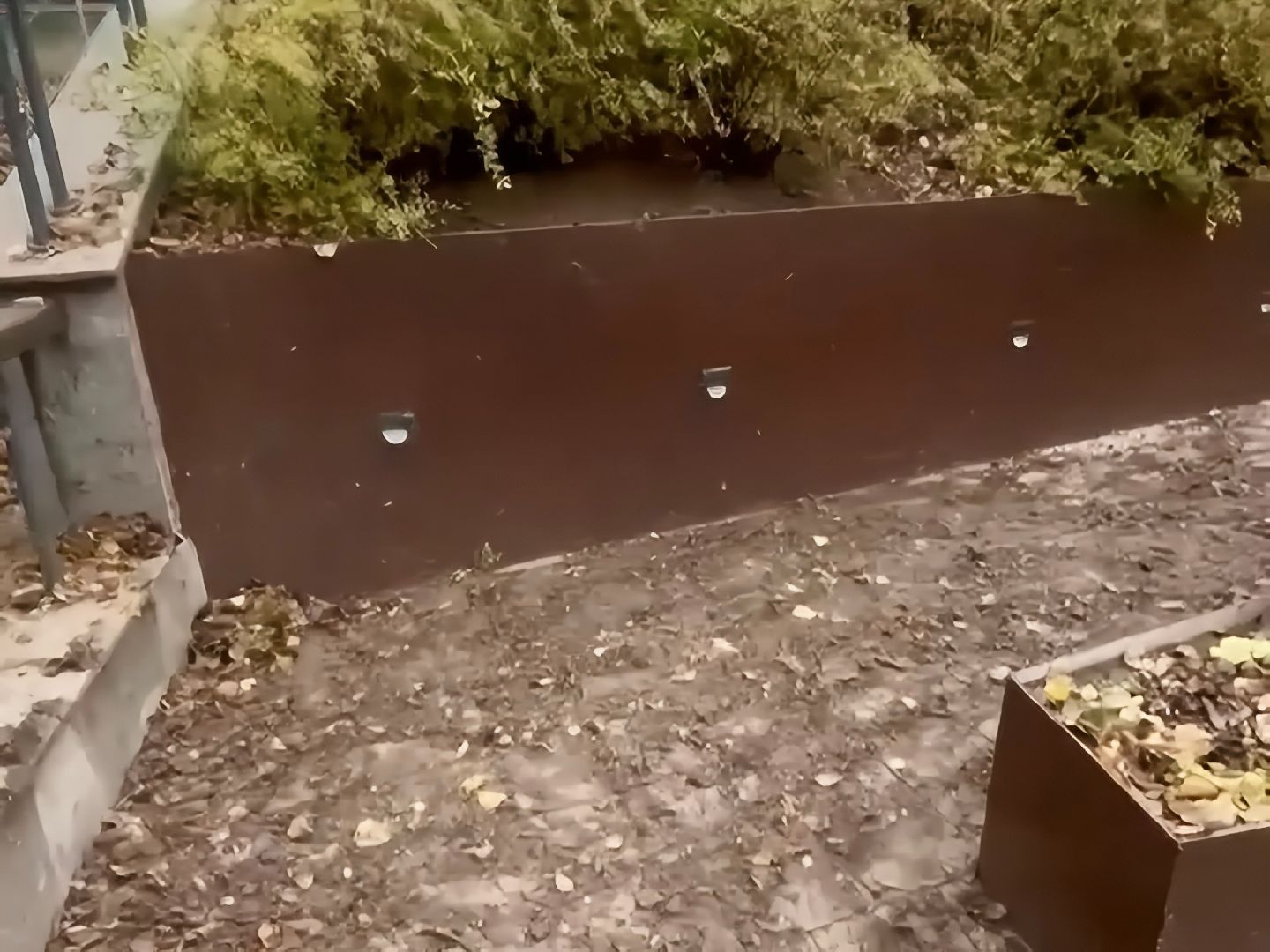 раменское, раменский городской парк, вандализм, благоустройство, ремонт, клумбы,