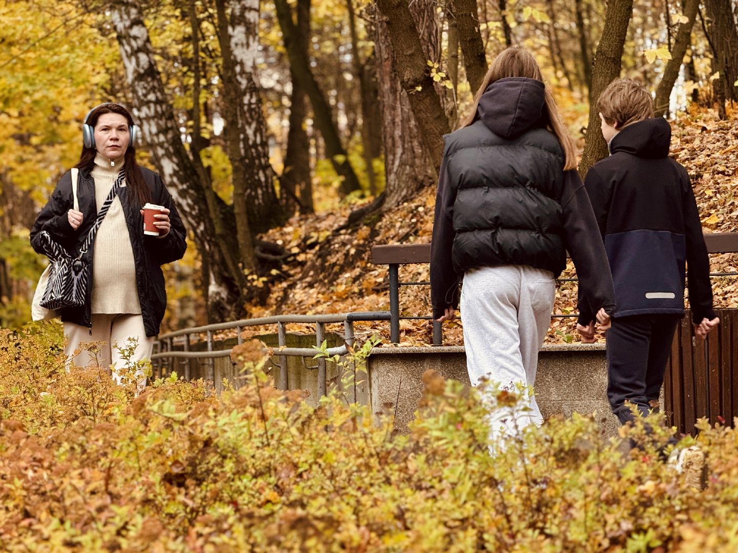 раменское, раменский городской парк, вандализм, благоустройство, ремонт, клумбы,