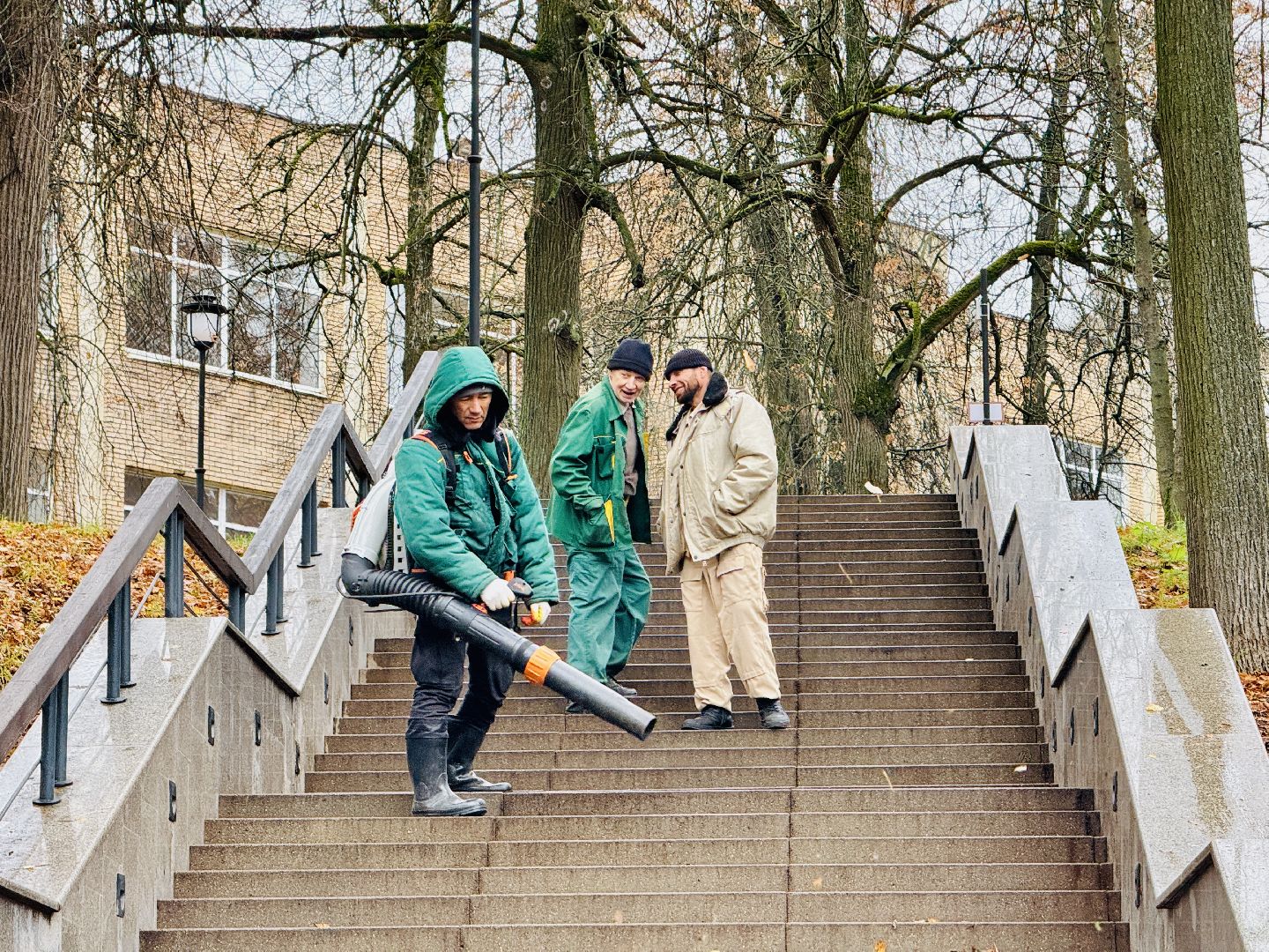 раменское, раменский городской парк, вандализм, благоустройство, ремонт, клумбы,