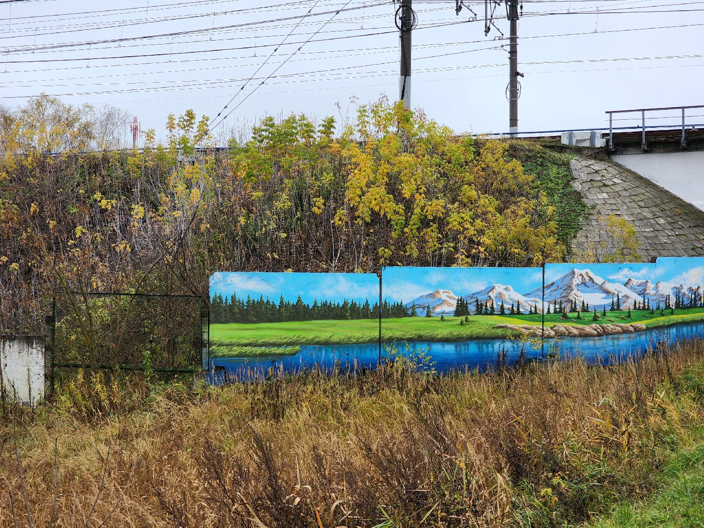 солнечногорск, живопись, благоустройство , жители ,