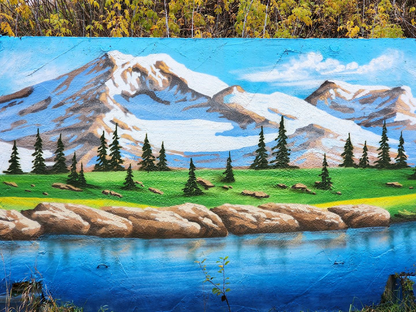 солнечногорск, живопись, благоустройство , жители ,