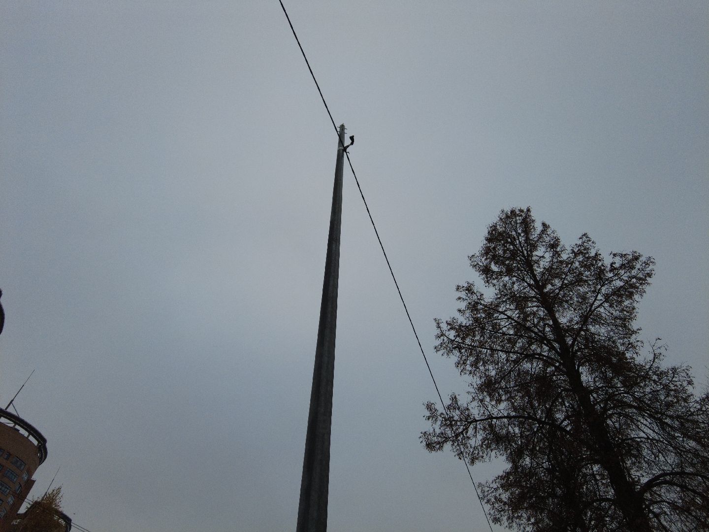 дубна, новыефонари, улицастанционная,