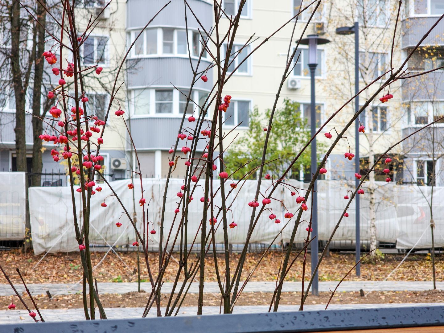 Подольск, Сквер, Благоустройство, брусчатка,