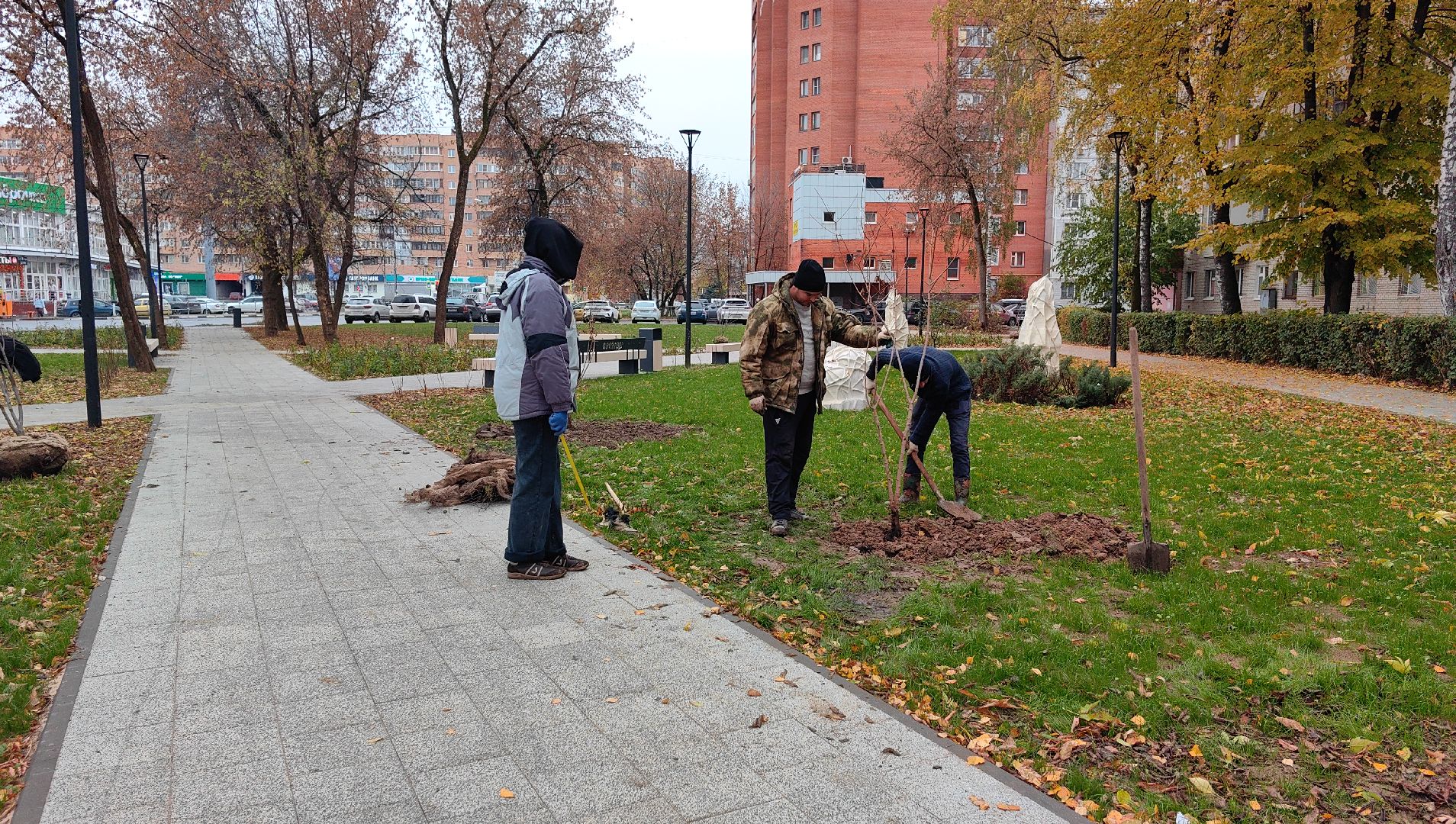 сквер,  высадка деревьев, благоустройство, цветы,