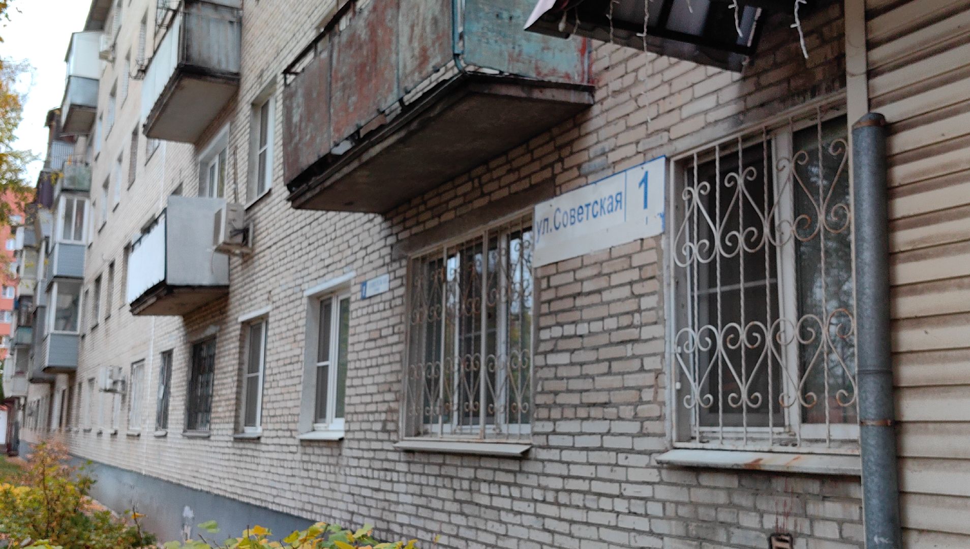 сквер,  высадка деревьев, благоустройство, цветы,