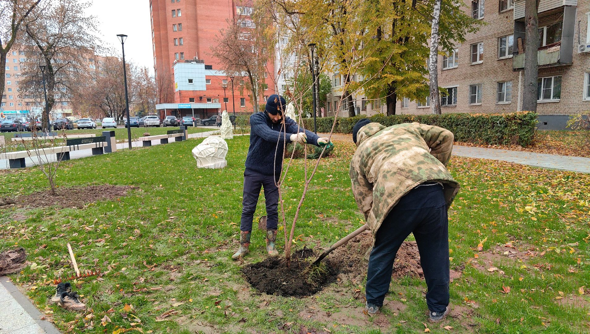 сквер,  высадка деревьев, благоустройство, цветы,