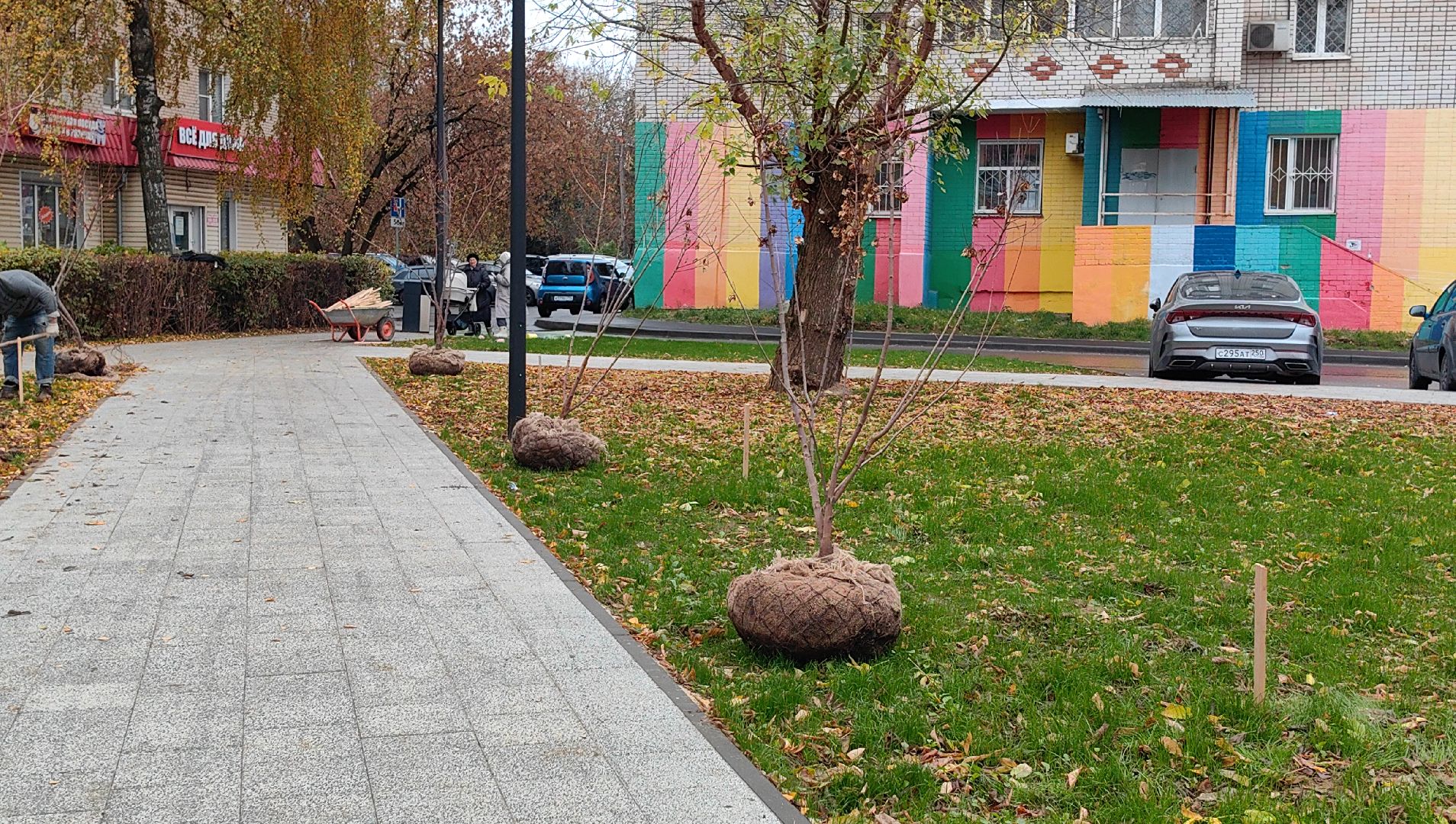 сквер,  высадка деревьев, благоустройство, цветы,