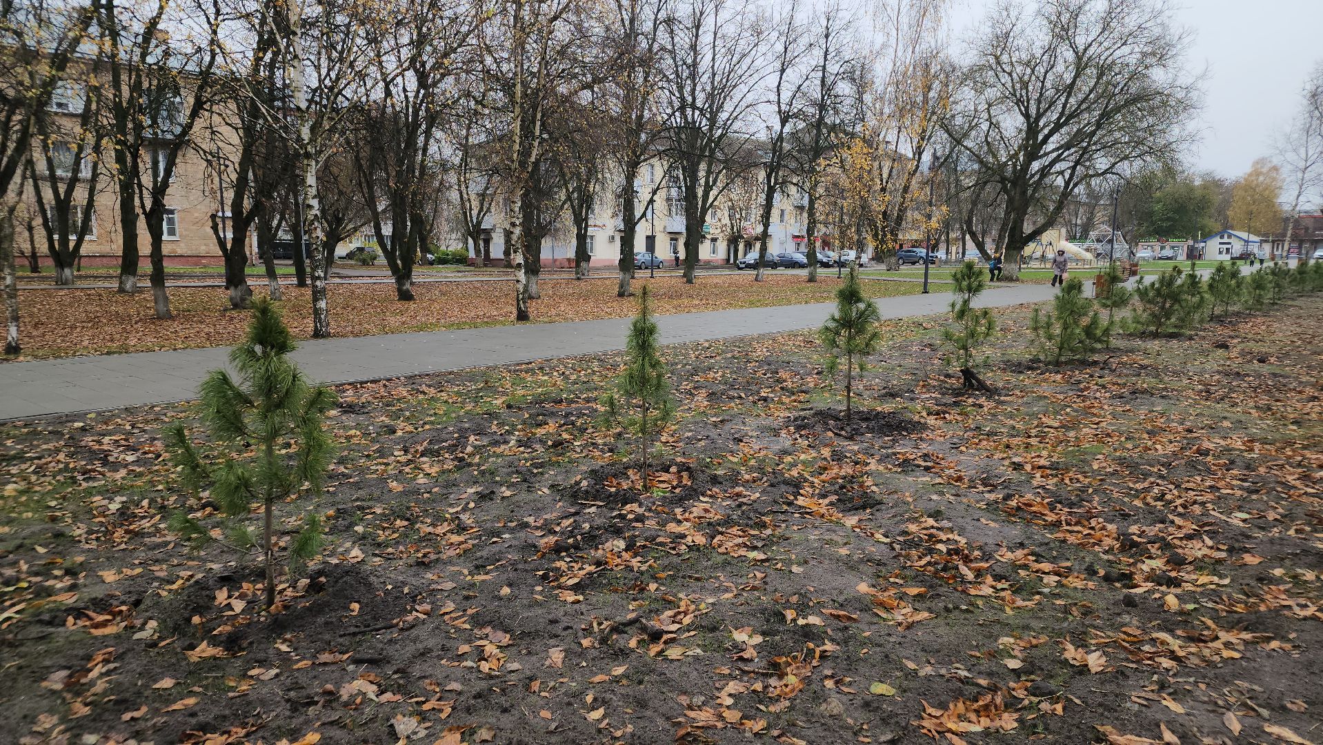 благоустройство 2025, ликино-дулево, орехово-зуевский округ,