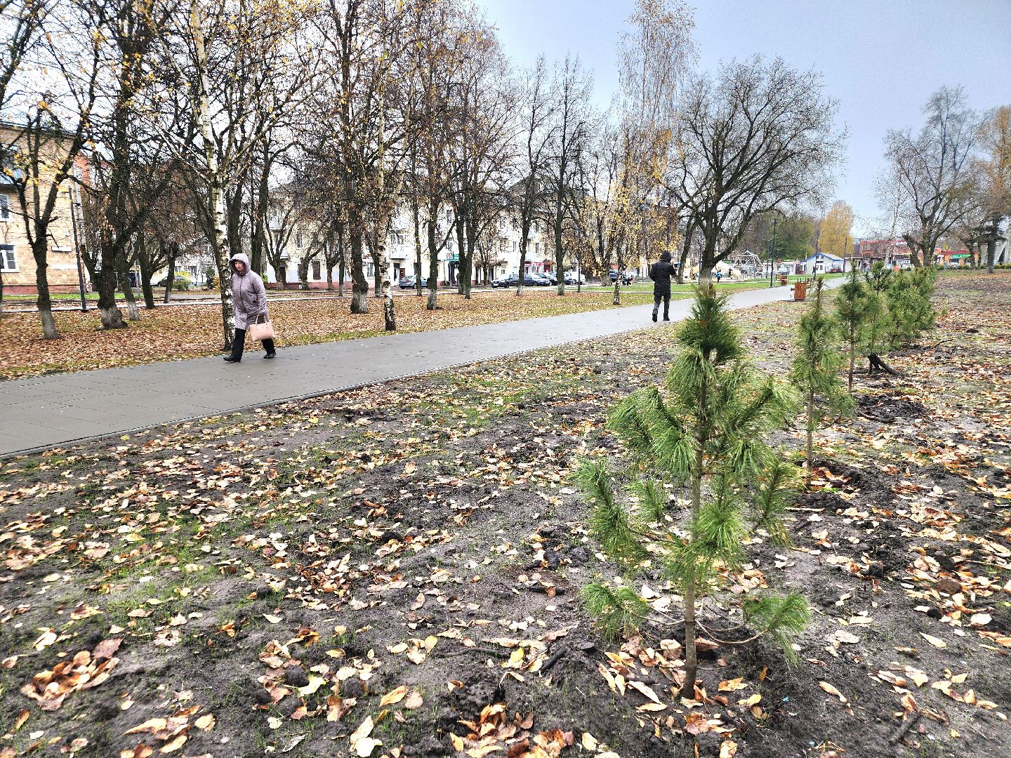 благоустройство 2025, ликино-дулево, орехово-зуевский округ,