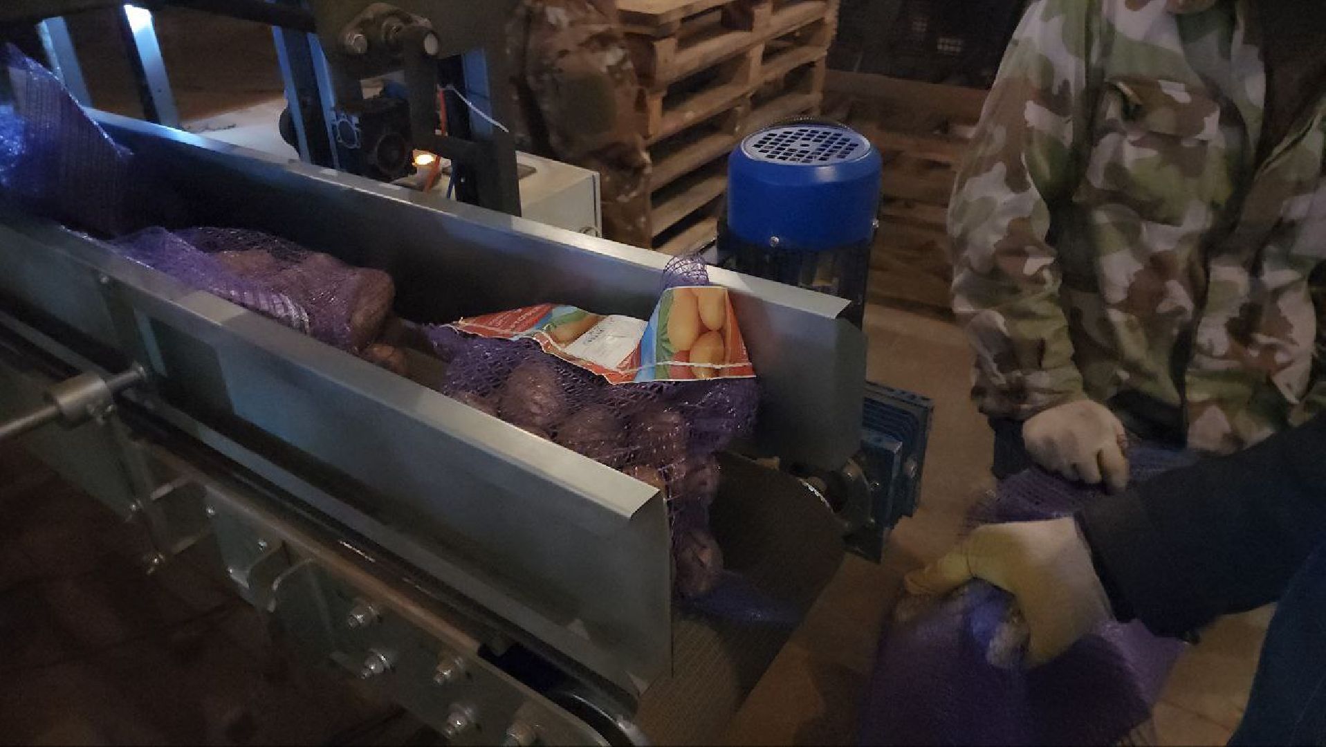 Луховицы #СПКимениЛенина #Урожай2025 #Агропром #Подмосковье #Картофель #Зерновые,