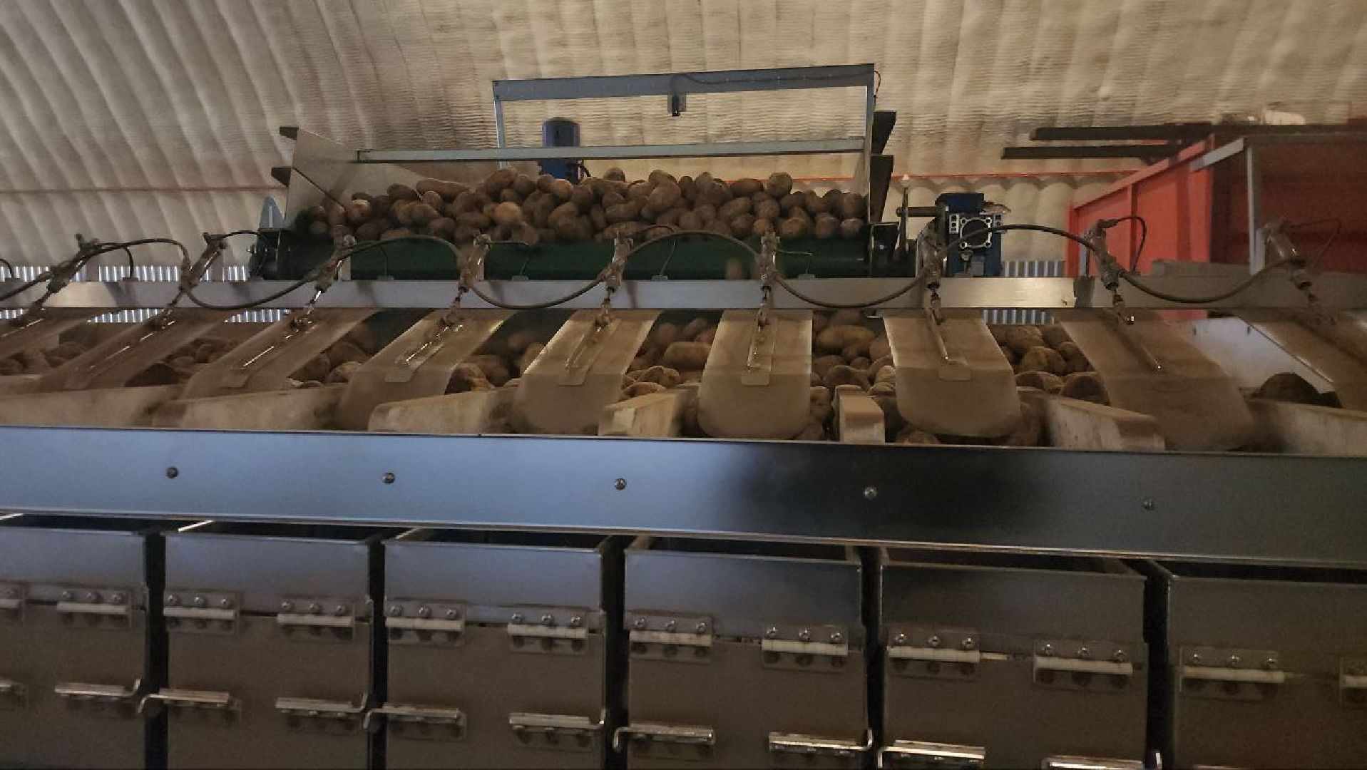 Луховицы #СПКимениЛенина #Урожай2025 #Агропром #Подмосковье #Картофель #Зерновые,