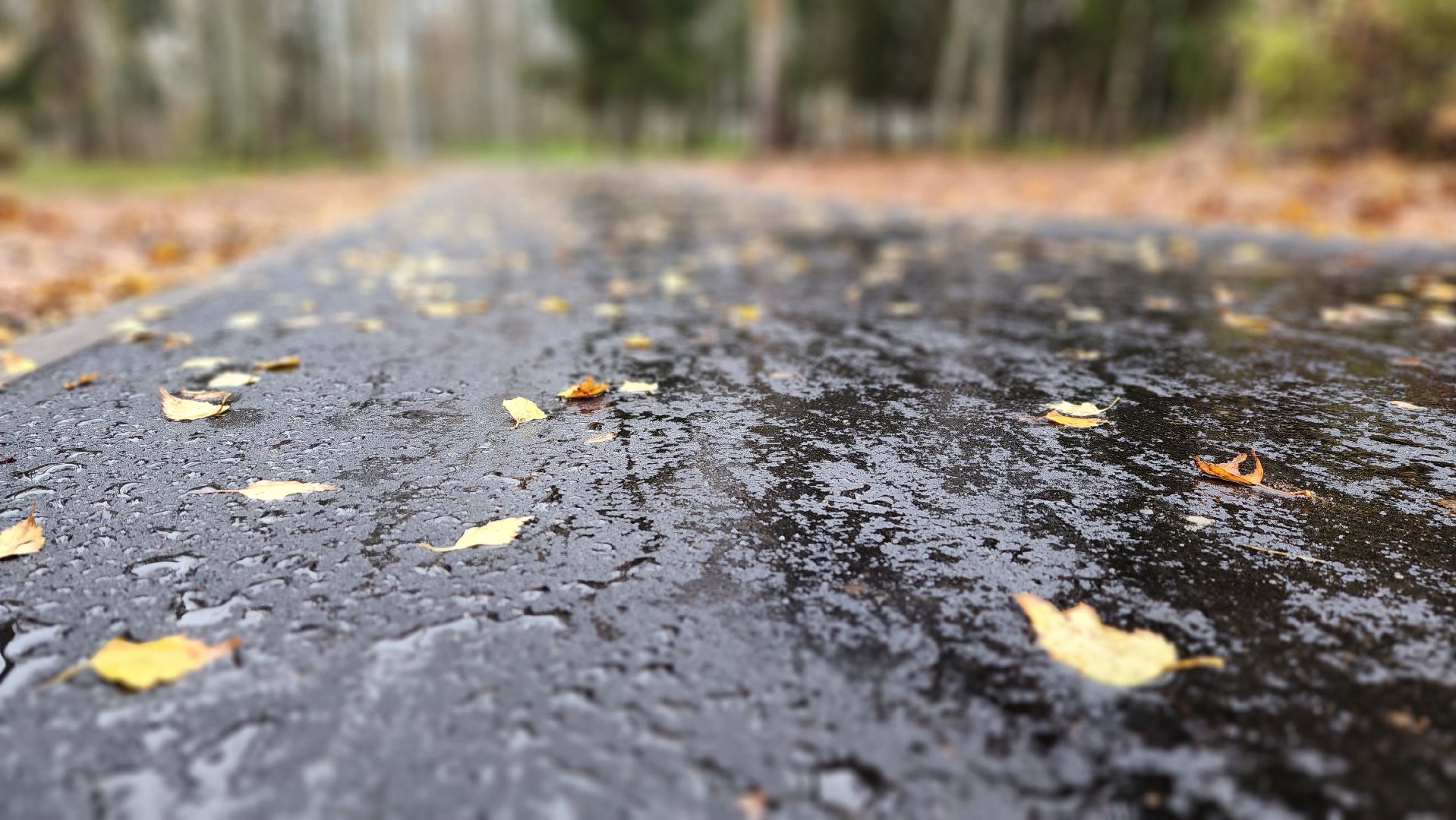 клин, высоковск, березовый парк , асфальт, благоустройство,