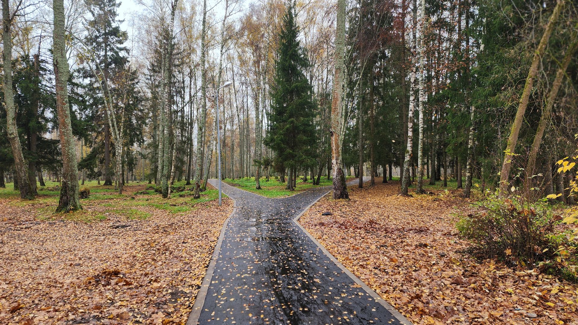 клин, высоковск, березовый парк , асфальт, благоустройство,