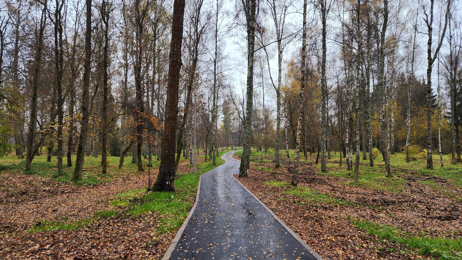 клин, высоковск, березовый парк , асфальт, благоустройство,