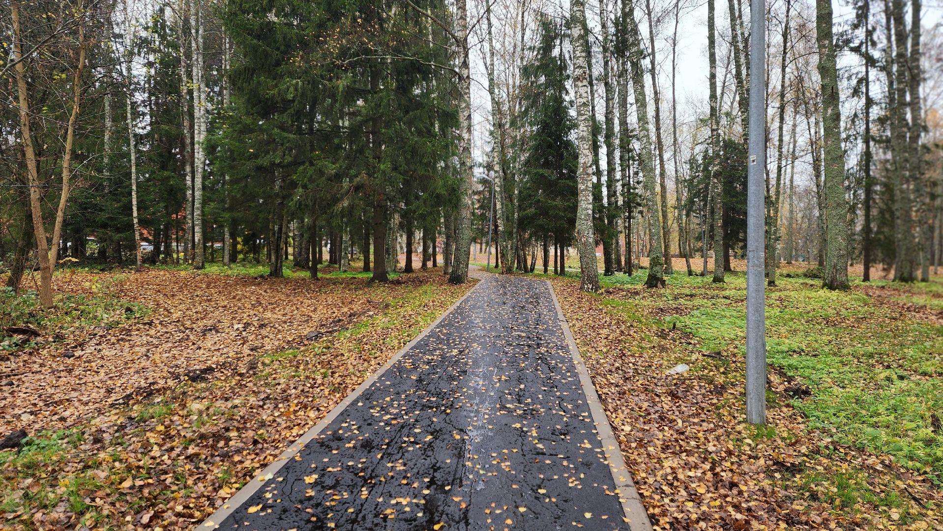 клин, высоковск, березовый парк , асфальт, благоустройство,
