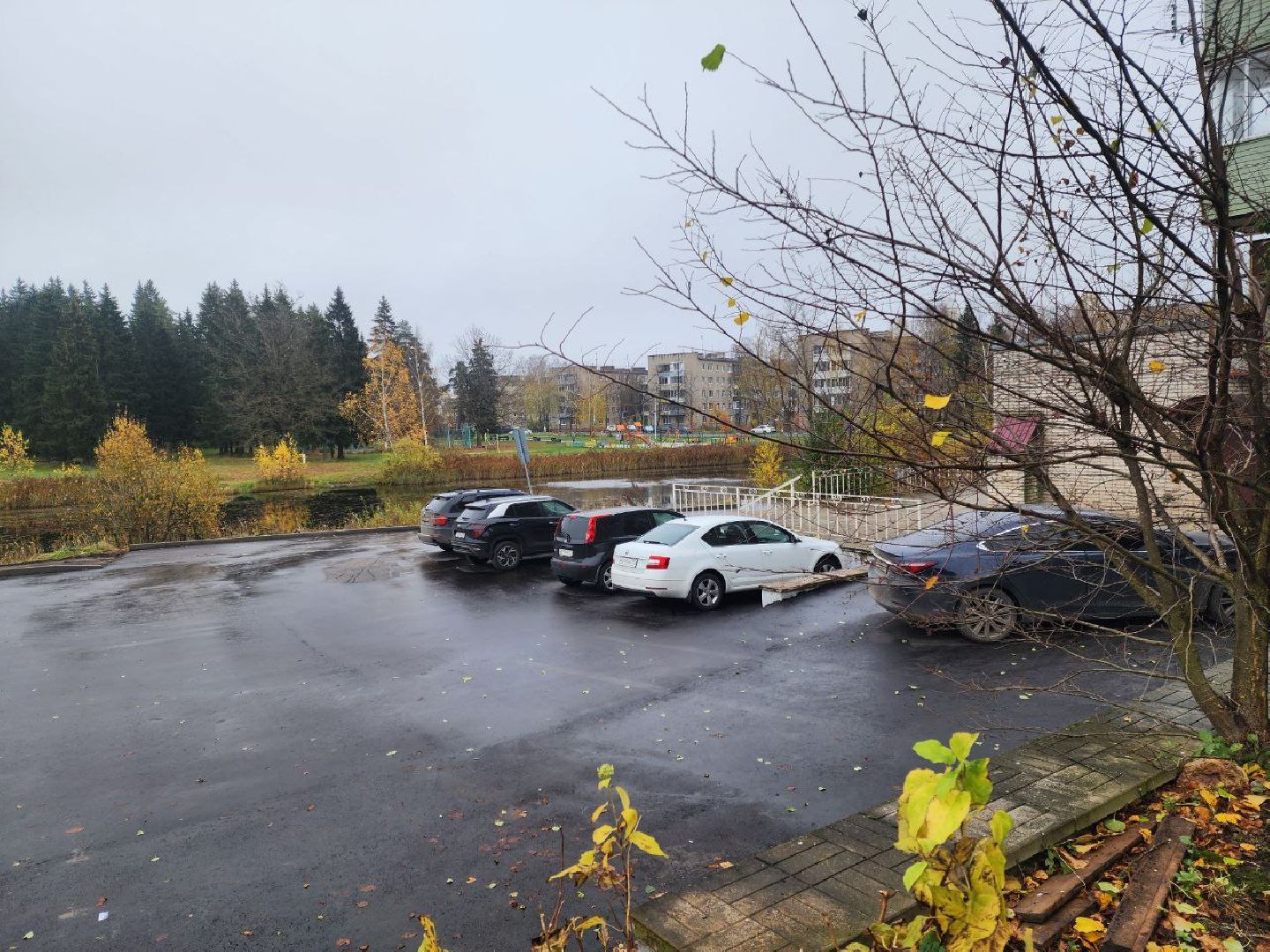 солнечногорск, благоустройство , жители, дворы,