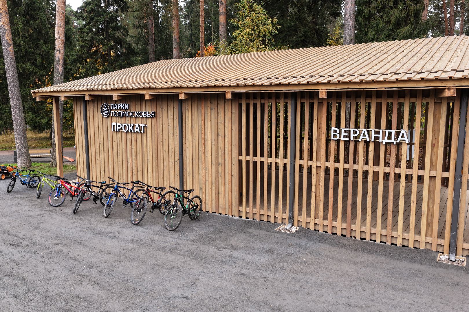 видео с коптера, банный лес,  благоустройство 2025,