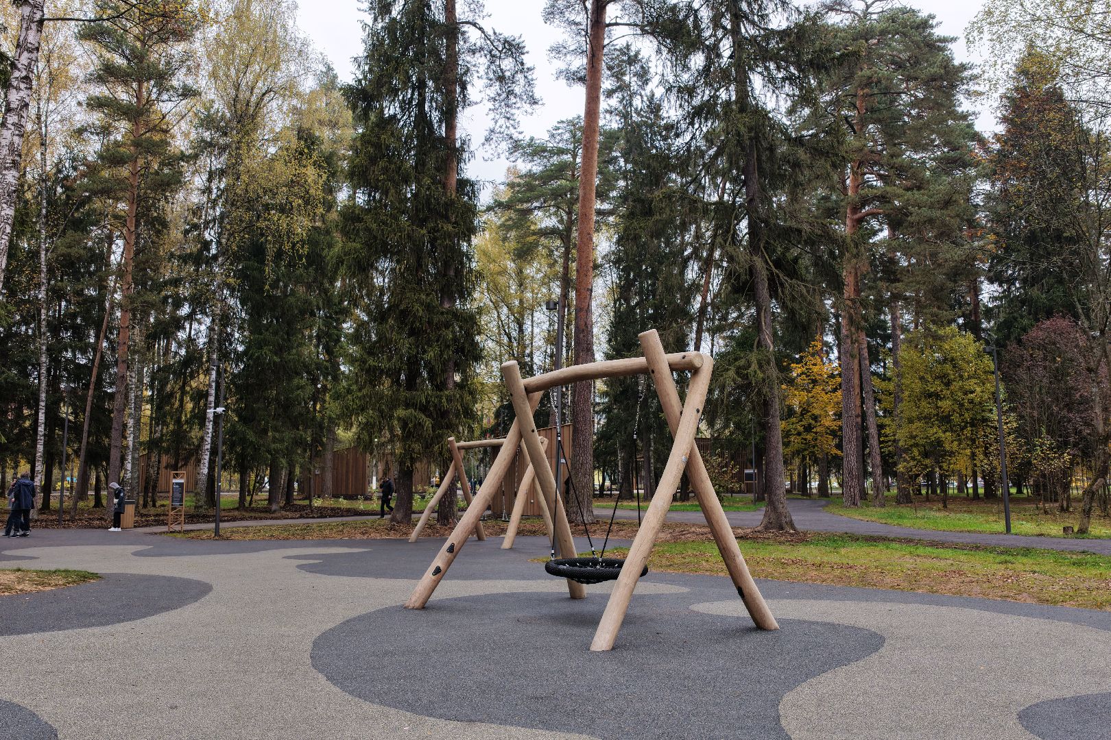 видео с коптера, банный лес,  благоустройство 2025,