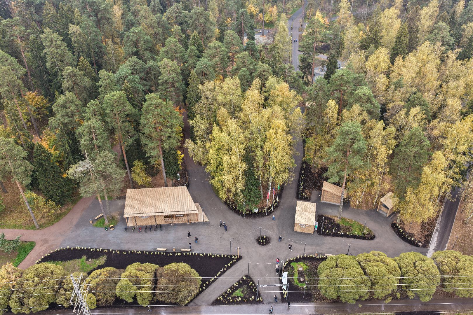 видео с коптера, банный лес,  благоустройство 2025,