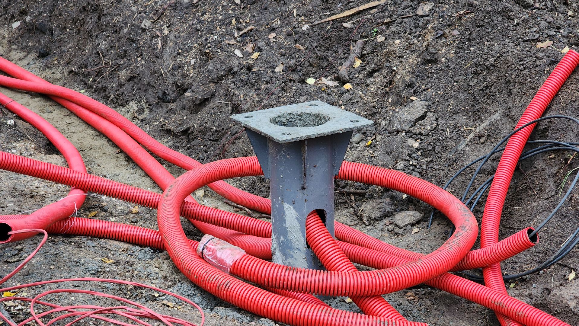 благоустройство, велодорожка, лосино-петровский,