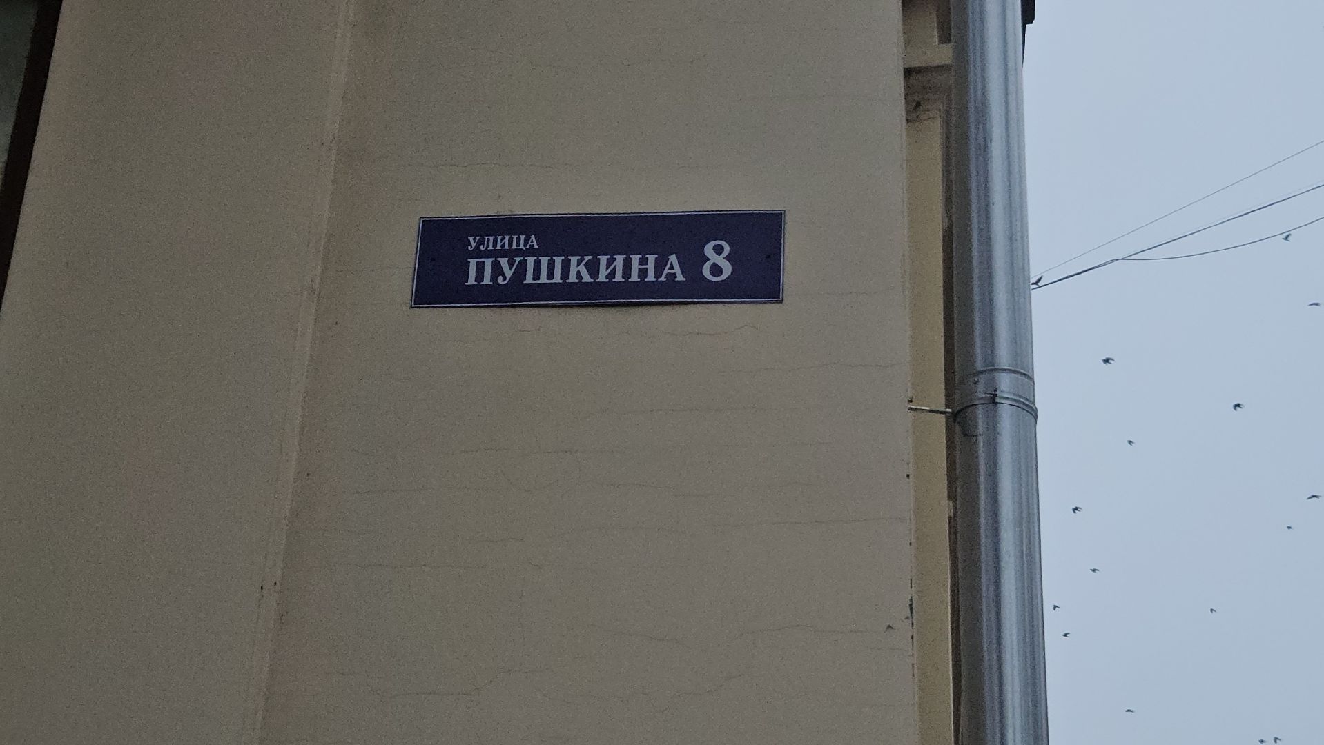 выездная администрация, контейнерная площадка, жуковский,