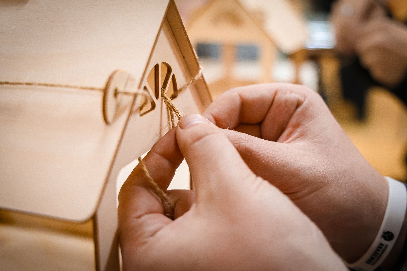 клин, общество, волонтеры, кормушки для птиц,