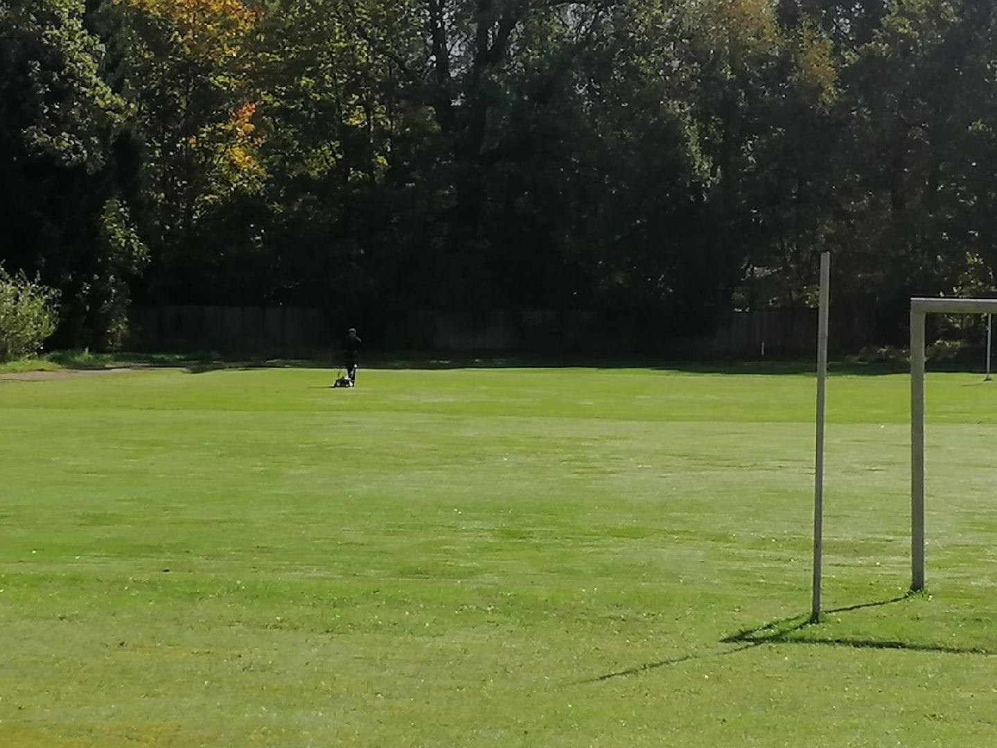 стрижка газонов, стадион, городской округ восход, благоустройство,