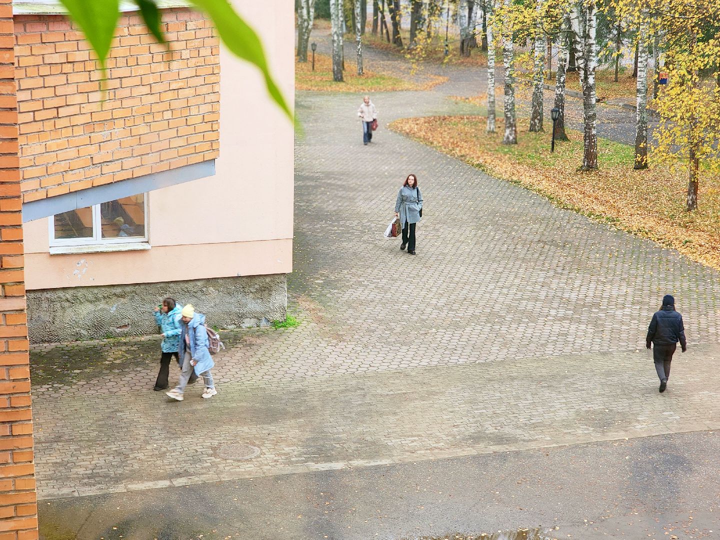 дубна, университет дубна, фоновая ходьба, человек идущий, здоровый образ жизни,