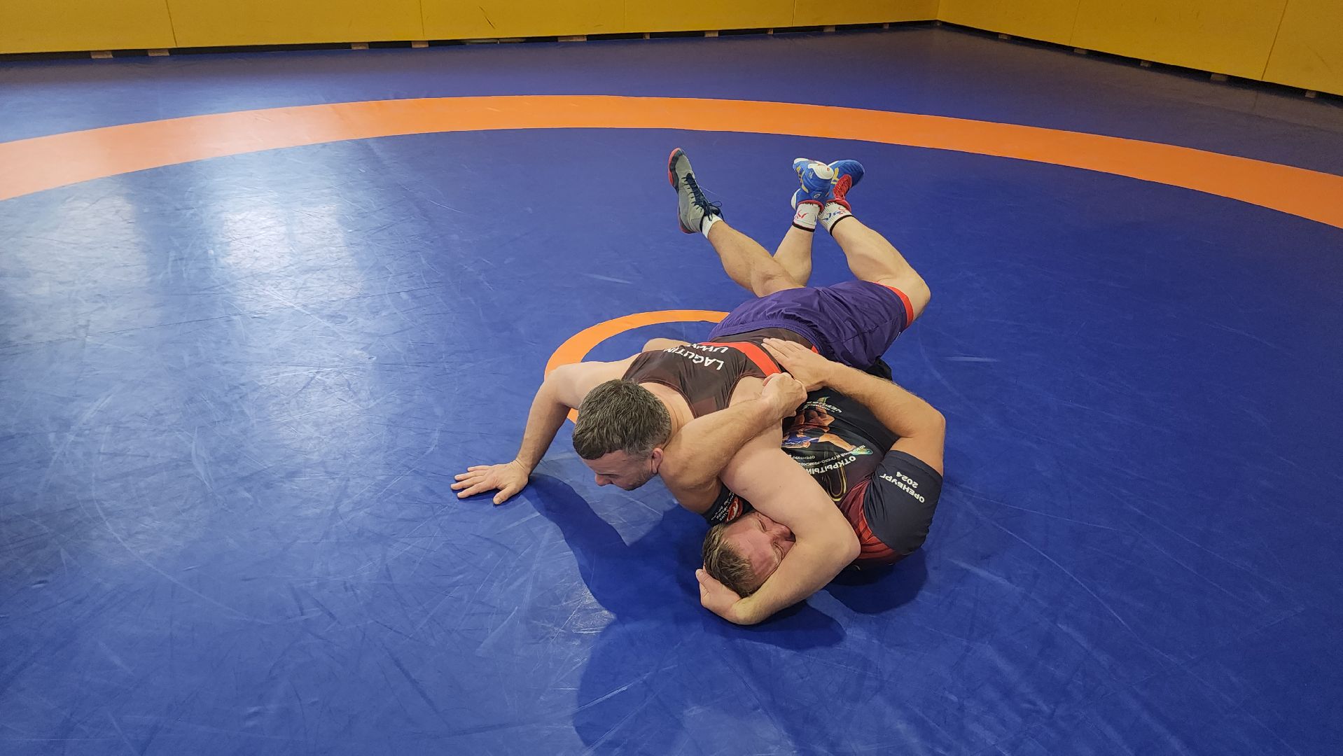 Егорьевск , Подмосковье , Московская область ,Чемпион мира, Вольная борьба,