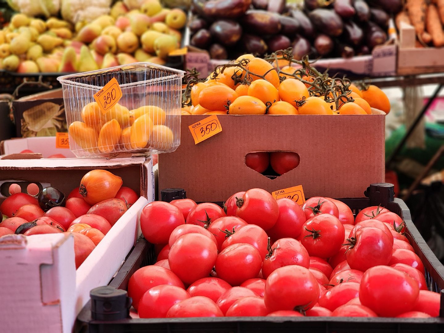 ярмарка, продукты регионов россии, экономика, старая купавна, богородский городской округ,