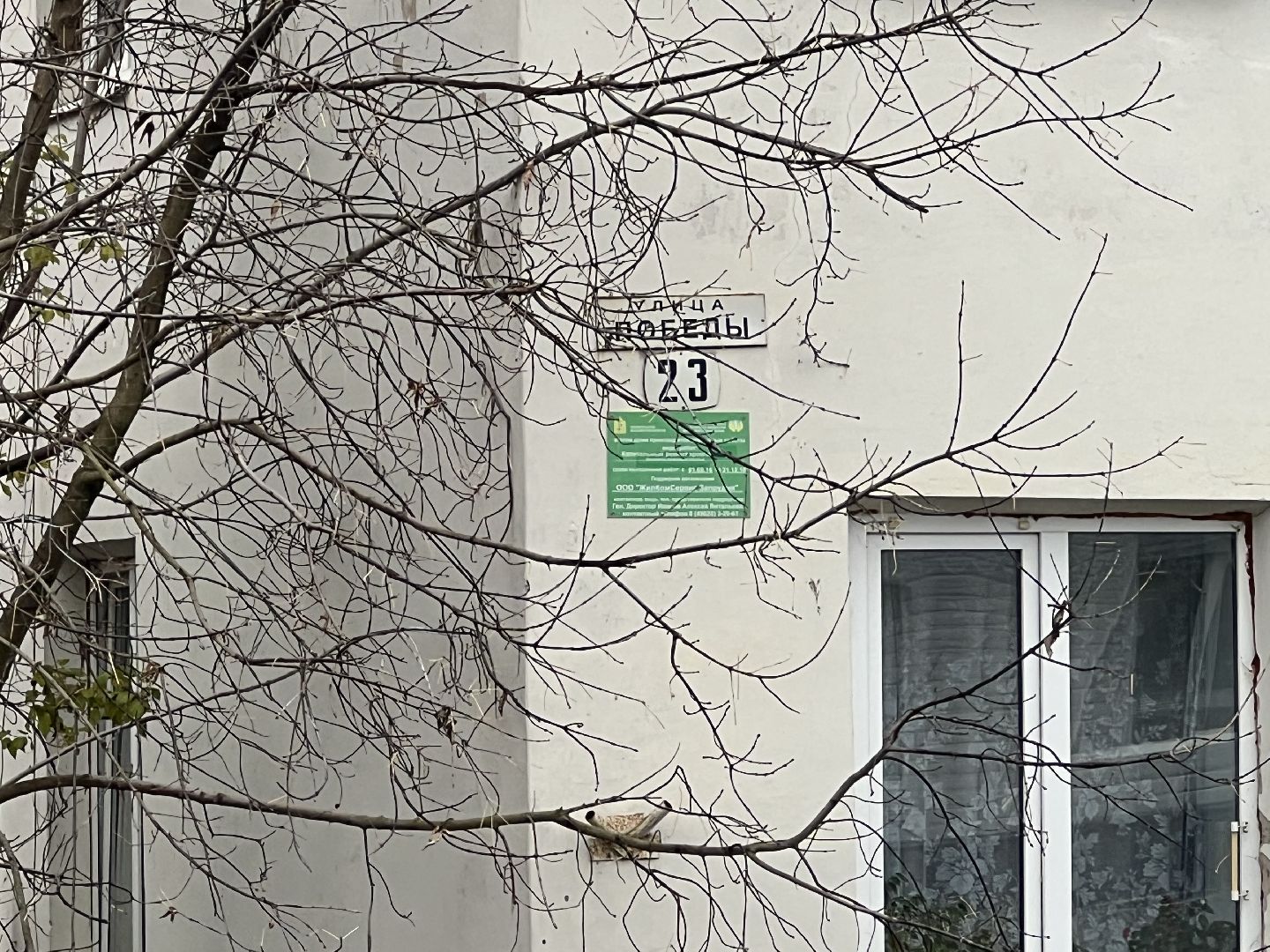 Талдом дороги, талдомский городской округ, Благоустройство дорог,