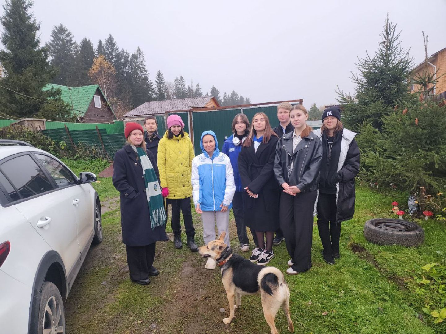 солнечногорск, волантеры, общество,