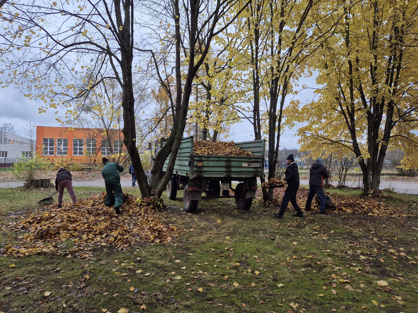 сезон уборки листвы, орехово-зуевский округ,