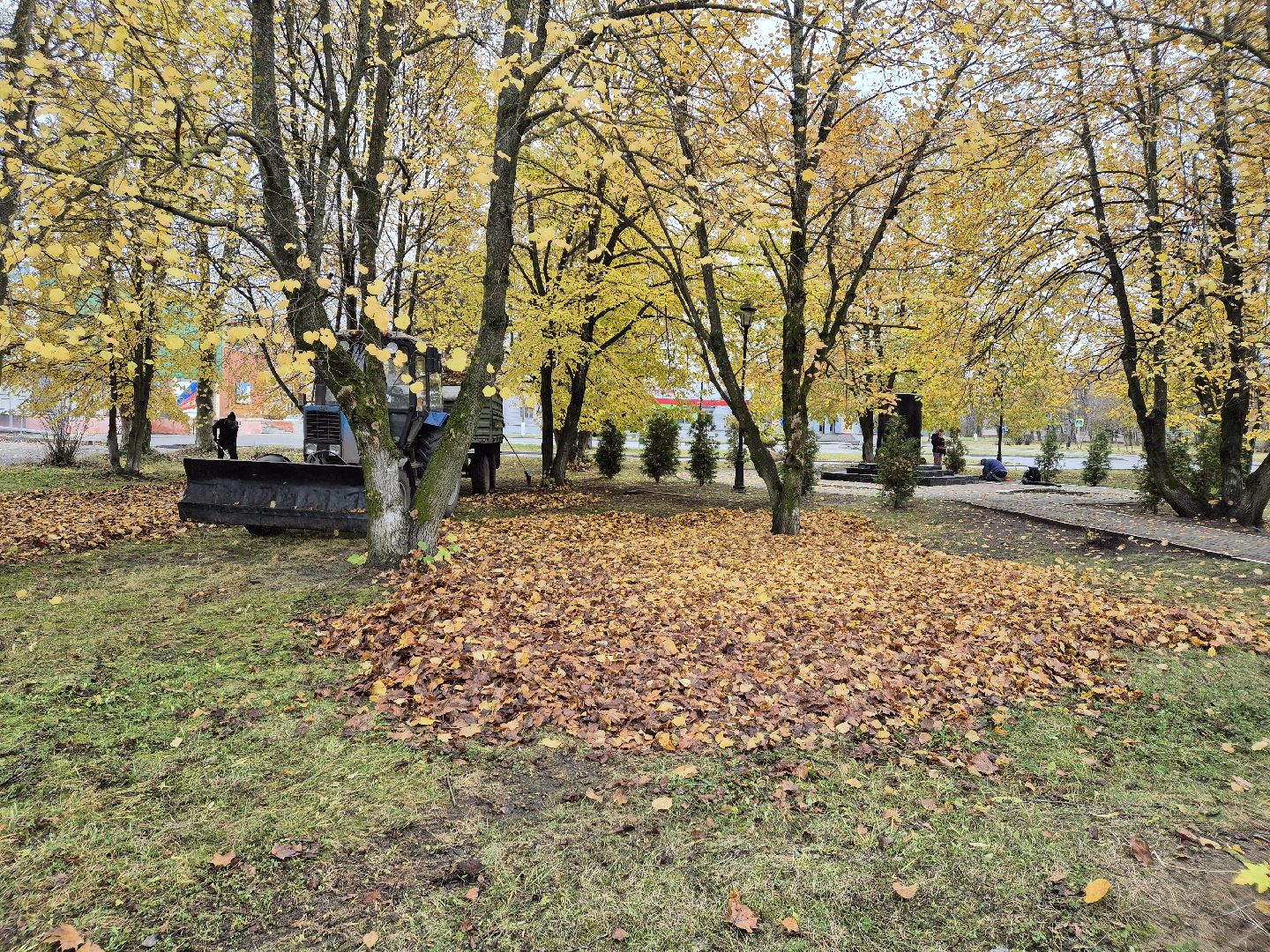 сезон уборки листвы, орехово-зуевский округ,