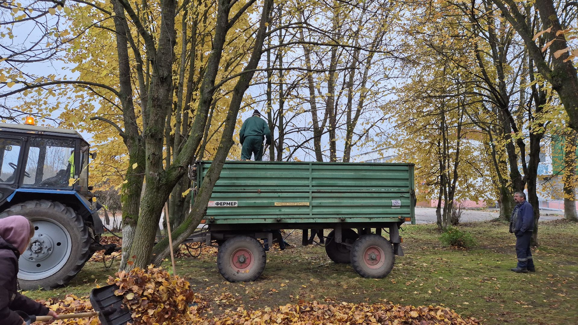 сезон уборки листвы, орехово-зуевский округ,