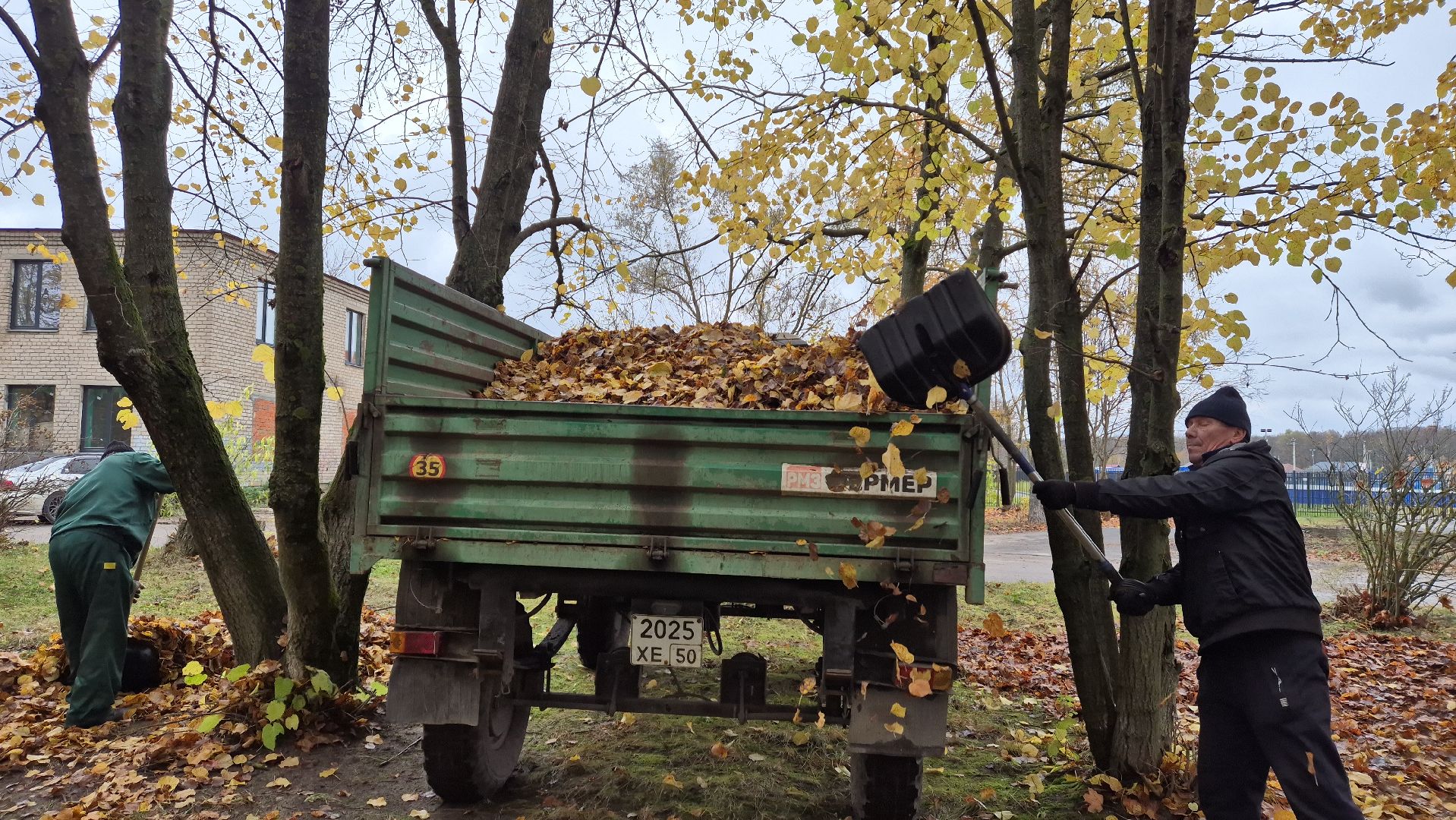 сезон уборки листвы, орехово-зуевский округ,