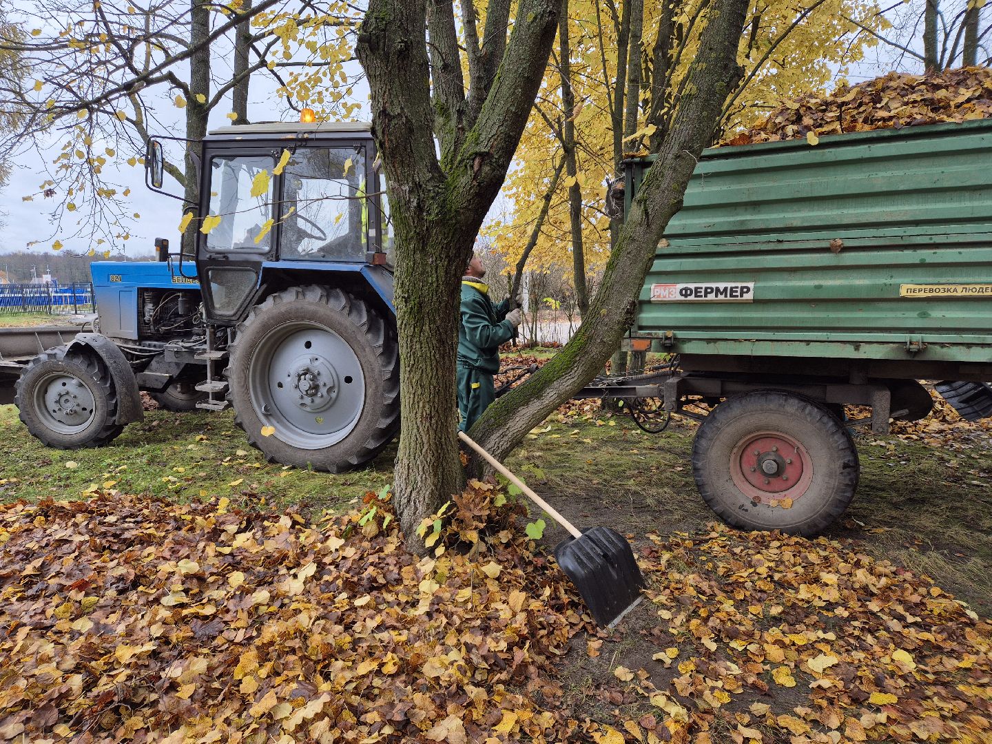 сезон уборки листвы, орехово-зуевский округ,