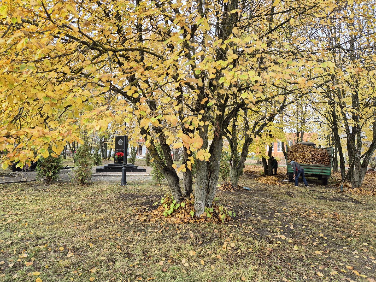 сезон уборки листвы, орехово-зуевский округ,