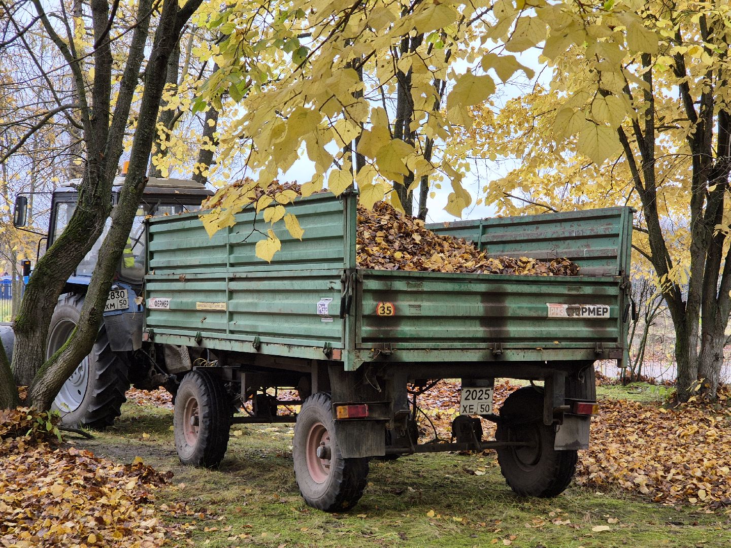 сезон уборки листвы, орехово-зуевский округ,