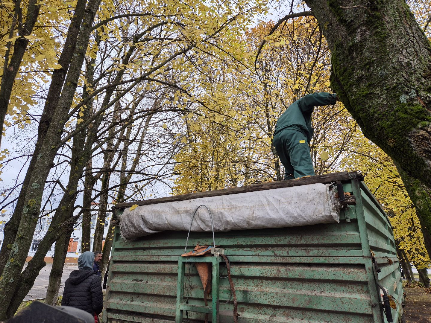 сезон уборки листвы, орехово-зуевский округ,