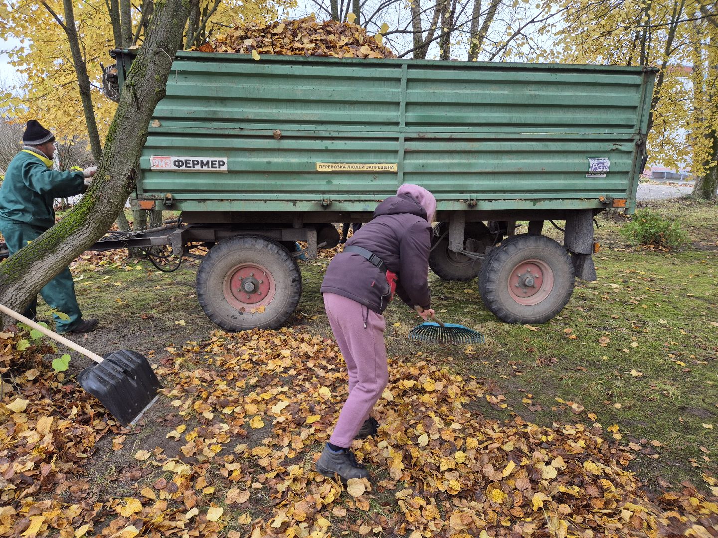 сезон уборки листвы, орехово-зуевский округ,