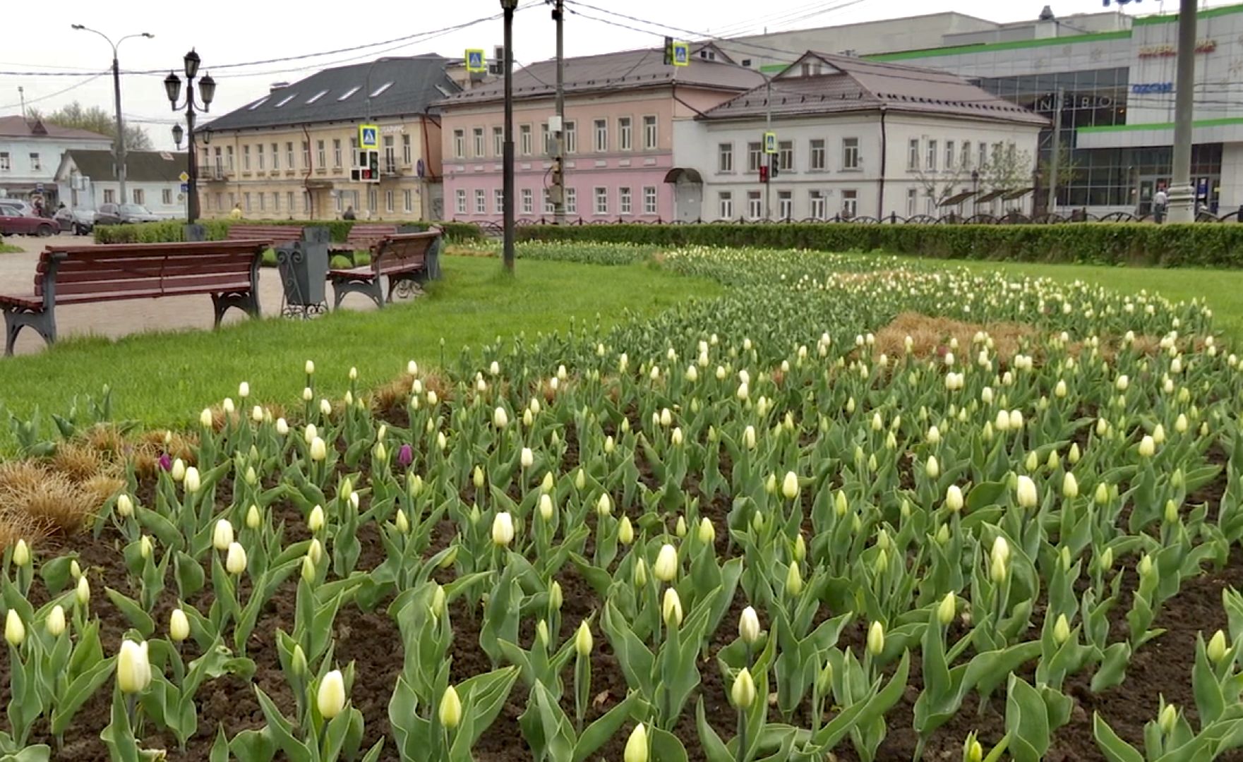 Клин, благоустройство, цветы, весна