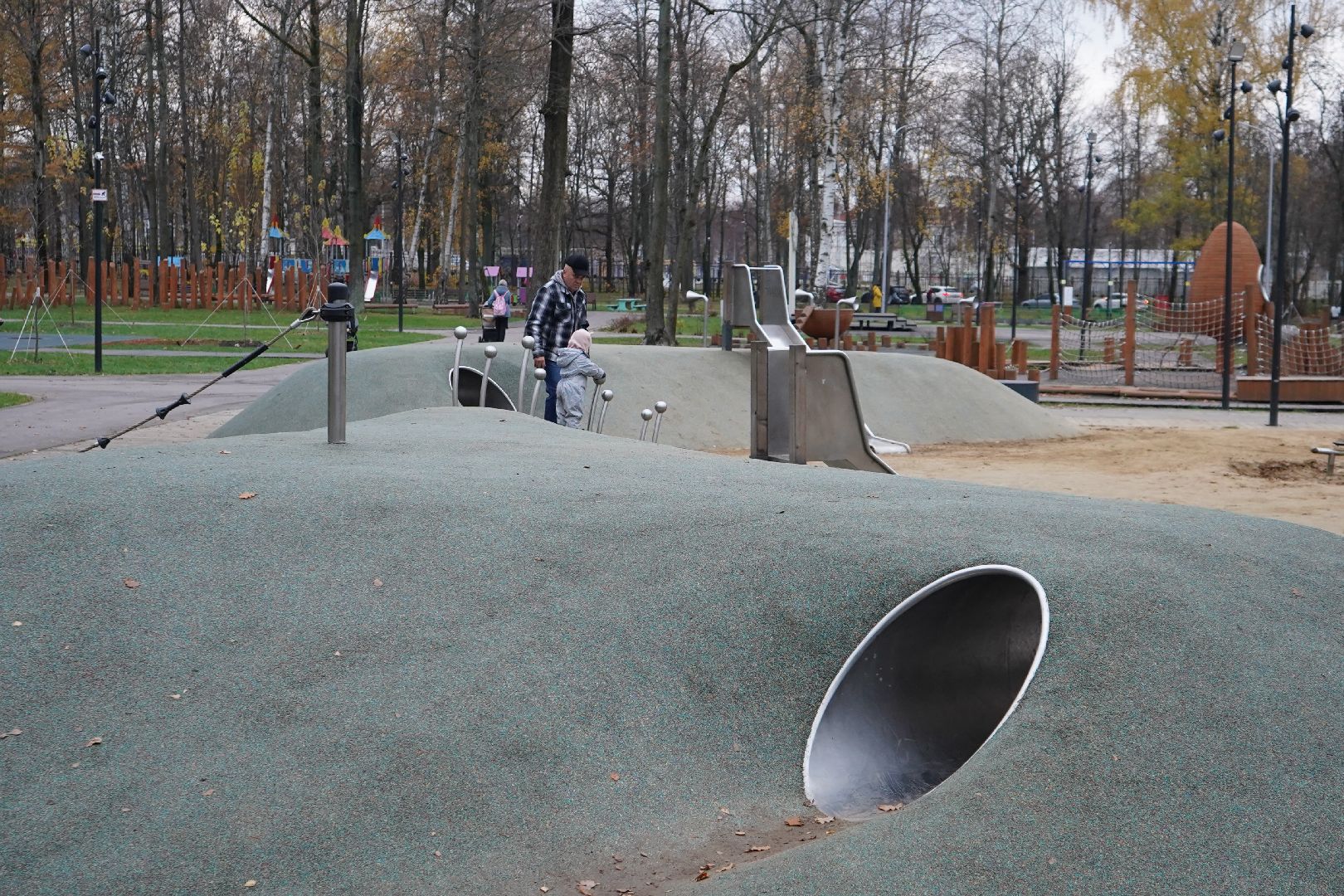 парк островского, ступино, каток, пруд, общественный совет,