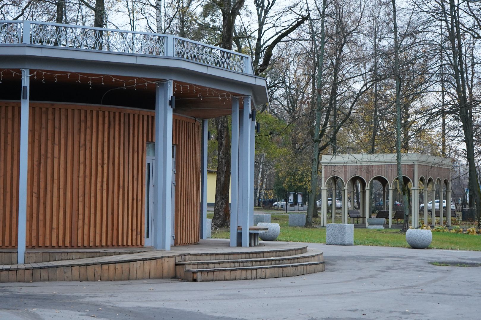парк островского, ступино, каток, пруд, общественный совет,