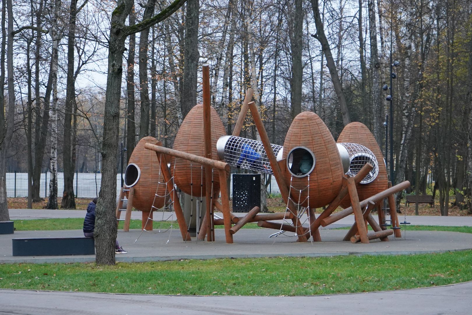 парк островского, ступино, каток, пруд, общественный совет,