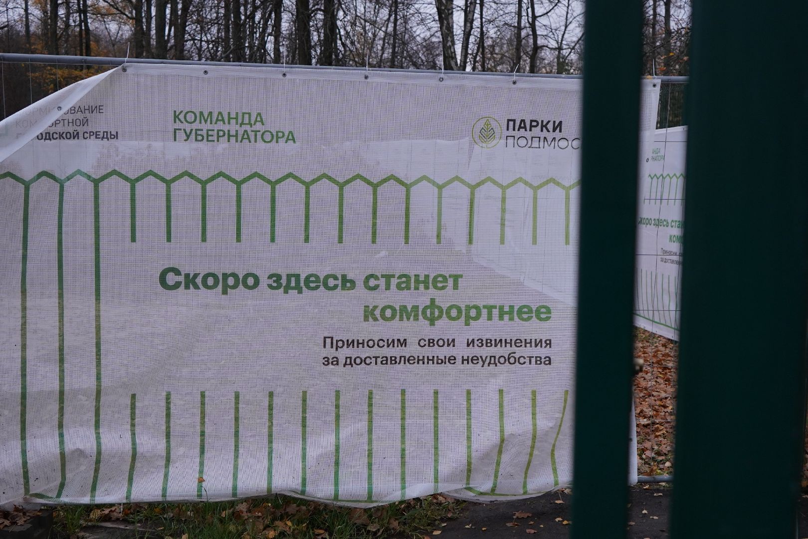 парк островского, ступино, каток, пруд, общественный совет,