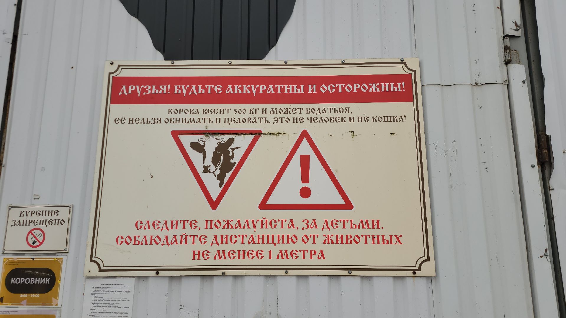 Истра, Сыр, Бизнес,